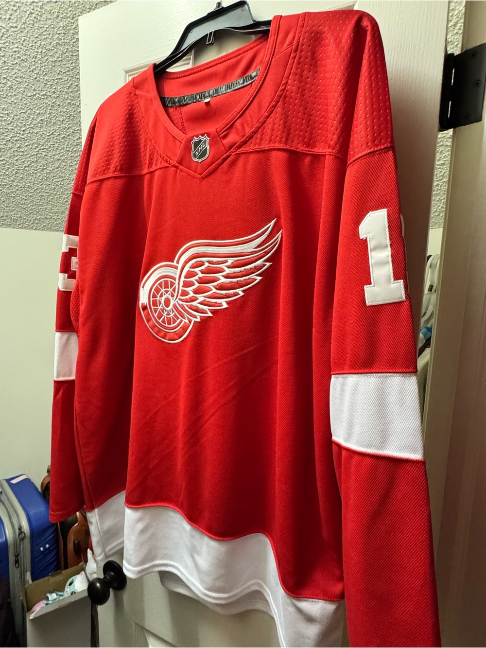 NHL Red and White Detroit Red Wings Hockey Jersey